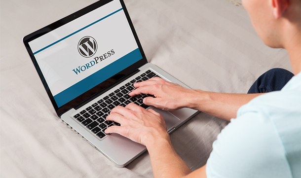 WordPress-Design-&-Development